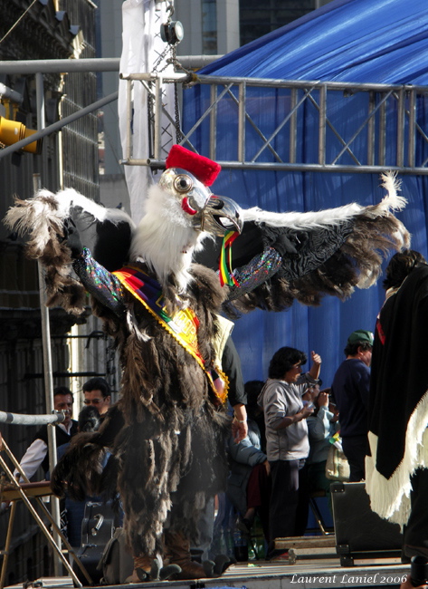 Condor
