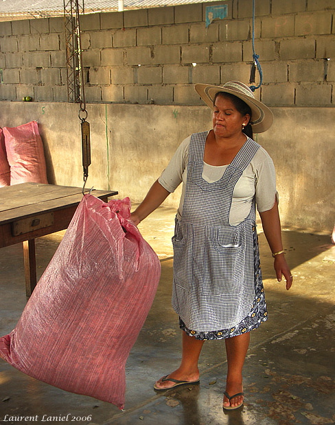 Weighing_Coca_at_Chipiriri