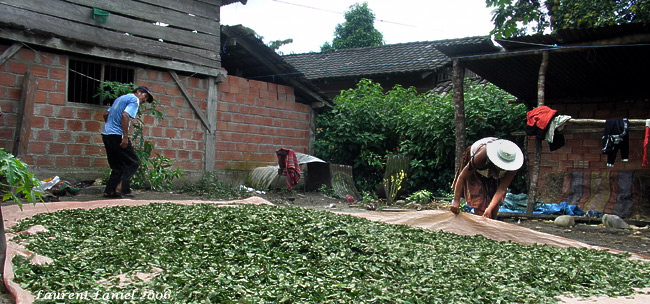 Couple_Drying_Coca