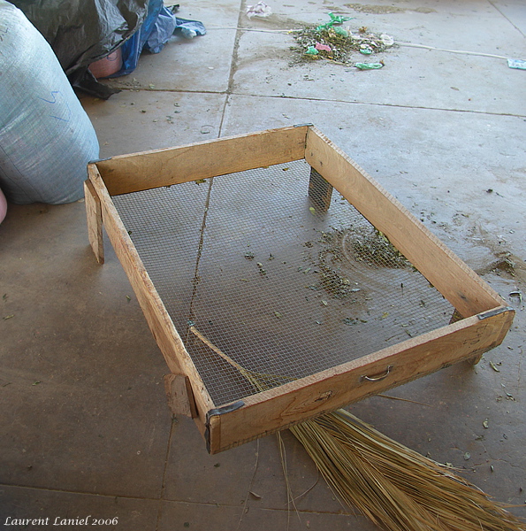 Coca Sieve Empty