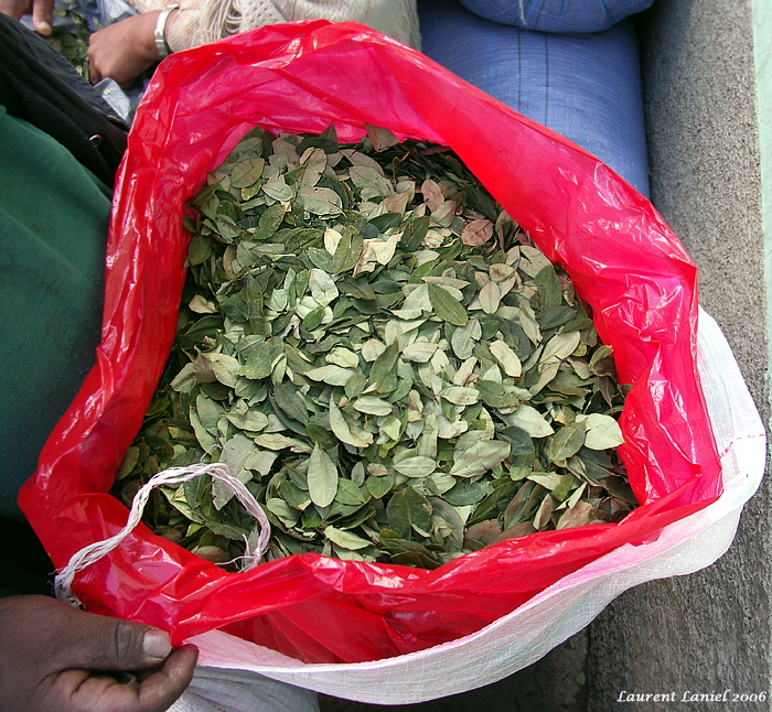 Open_Coca_Sack