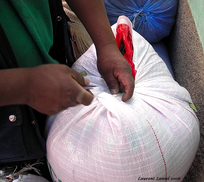 Sowing_Coca_Sack_4