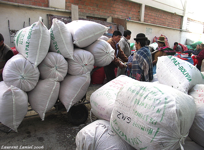 Negotiating_Coca