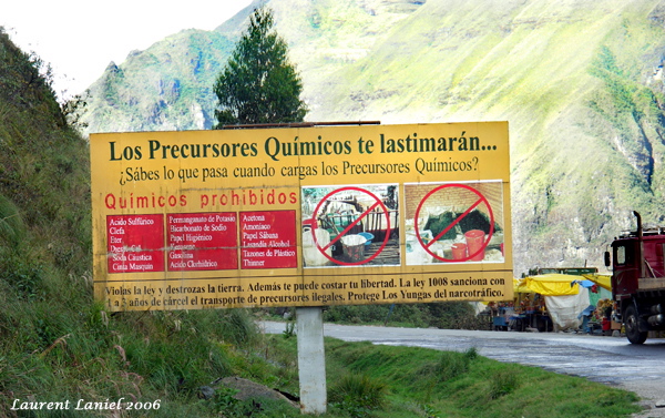 Precursores