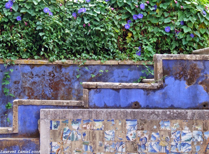 Blue_Flowers_&_Wall_2