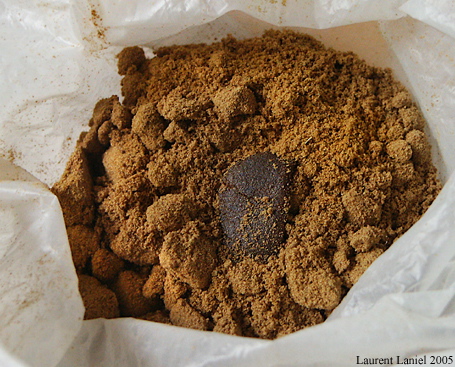 First_Grade_Pollen