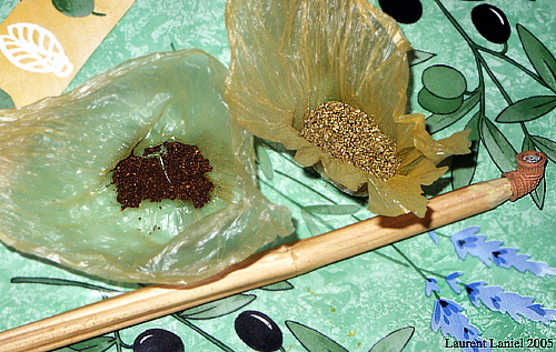 Sebsi_Kif_Tobacco