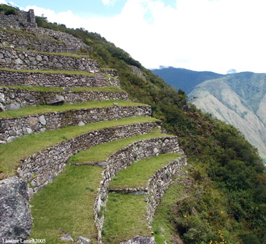 MachuPicchuLoneTerrace
