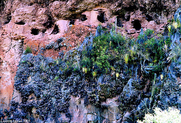 PisacTombs